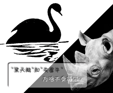 "黑天鵝"和"灰犀牛"為啥不受待見？