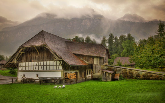 強調&ldquo;美麗家園&rdquo;　新農村建設邁出新步伐