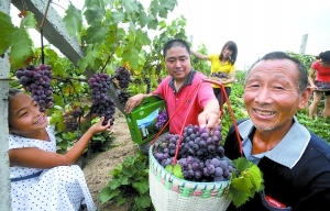 力爭&ldquo;城鄉(xiāng)收入差距持續(xù)縮小&rdquo;　富裕農民出實招