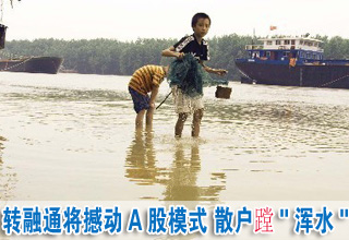 轉融通將撼動A股模式 散戶蹚"渾水"