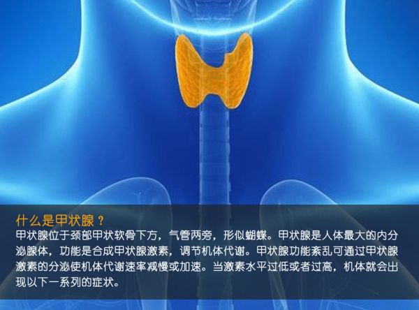 關注甲狀腺健康，你應該知道的那些事