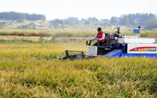 40年，小崗人的18個&ldquo;第一次&rdquo;