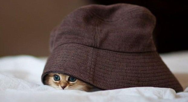 老外搞怪！facebook插圖欣賞(組圖)