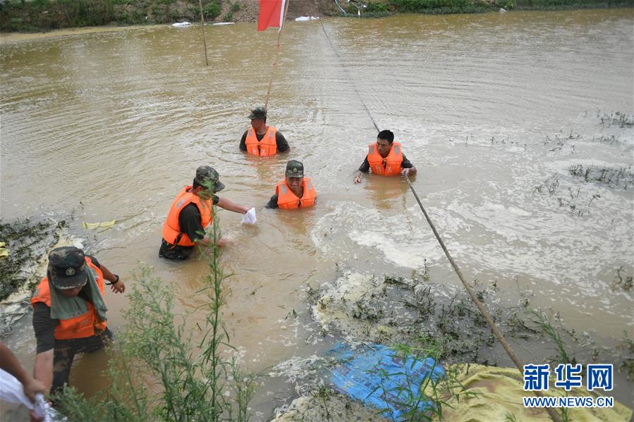 （防汛抗洪&middot;圖文互動）（1）&ldquo;大堤上有了&lsquo;導彈綠&rsquo;，我們老百姓安了心&rdquo;