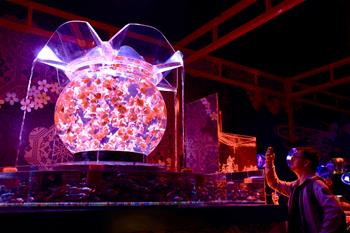 凌空金魚藝術(shù)展亮相&ldquo;空中上海&rdquo;