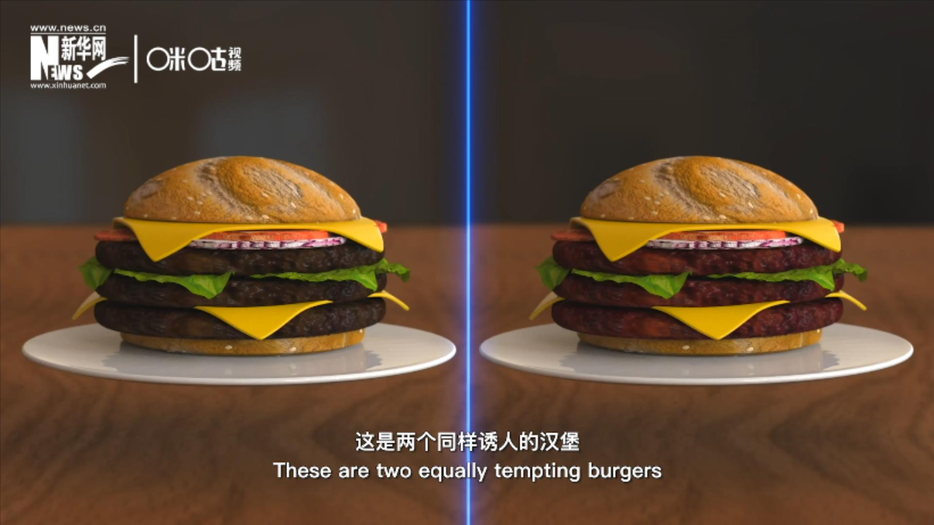 人造肉漢堡能在生產(chǎn)過(guò)程中節(jié)約水、土地、排放以及能量