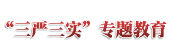 &ldquo;三嚴(yán)三實(shí)&rdquo;專題教育
