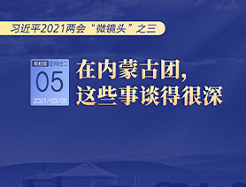 習(xí)近平2021兩會&ldquo;微鏡頭&rdquo;之三 3月5日 在內(nèi)蒙古團(tuán)，這些事談得很深