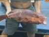 [新聞1+1] 走，南沙捕魚去！
