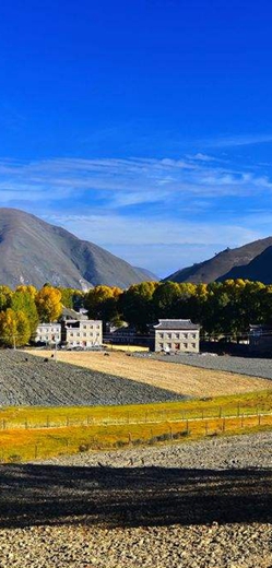 說走就走！大美絲路之旅不再遙遠 