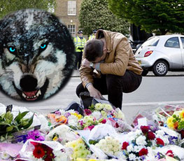 血案頻發(fā) "獨(dú)狼"緣何兇猛？