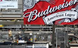 走進(jìn)美國(guó)啤酒的&ldquo;百年老店&rdquo;(組圖)